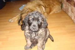 002_gwen_winny_salve_leon-2