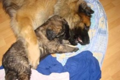 002_gwen_winny_salve_leon-4