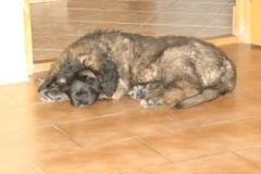 002_gwen_winny_salve_leon-6