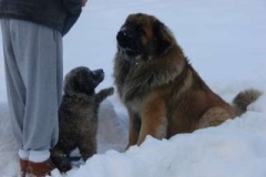 013_zimni_radovanky-12