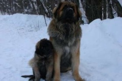 013_zimni_radovanky-13