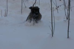 013_zimni_radovanky-2