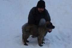 013_zimni_radovanky-22
