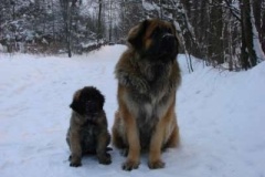 013_zimni_radovanky-24