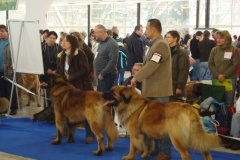 017_olomouc_2009_01_10-8