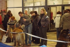 017_olomouc_2009_01_10-9