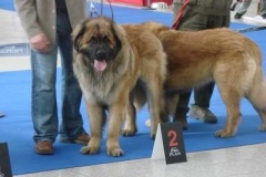 018_brno-1