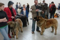 018_brno-2
