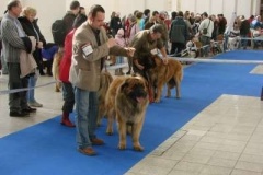 018_brno-5