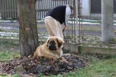 020_bard_na_zahrade-5