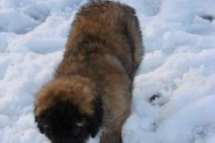 021_prvni_navsteva_cvicaku-11