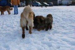 021_prvni_navsteva_cvicaku-14