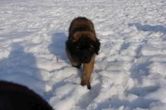 021_prvni_navsteva_cvicaku-2