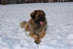 021_prvni_navsteva_cvicaku-3