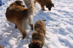 021_prvni_navsteva_cvicaku-4