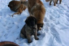 021_prvni_navsteva_cvicaku-6