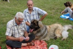 022_vystava_namest_na_hane-7