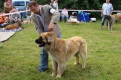022_vystava_namest_na_hane-9
