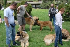 024_svod_mladych_blata_u_jicina-17