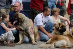 024_svod_mladych_blata_u_jicina-24