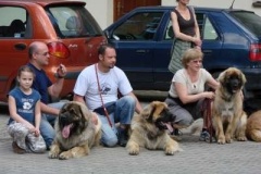 024_svod_mladych_blata_u_jicina-36