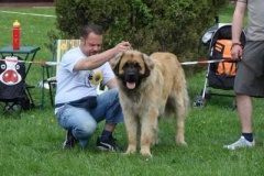 024_svod_mladych_blata_u_jicina-37