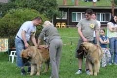 024_svod_mladych_blata_u_jicina-4