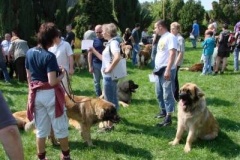 024_svod_mladych_blata_u_jicina-41
