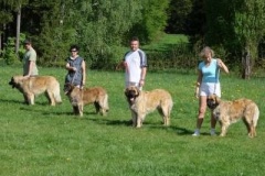 024_svod_mladych_blata_u_jicina-8