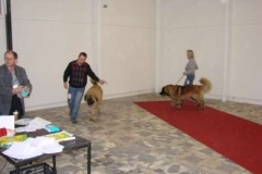 026_nvp_olomouc-2