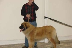 026_nvp_olomouc-6