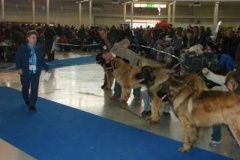027_mvp_brno-1