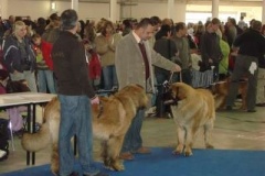 027_mvp_brno-2