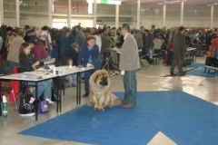027_mvp_brno-3