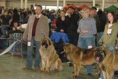 027_mvp_brno-6