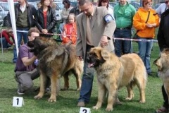 028_nvp_ostrava-1