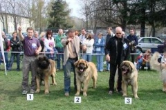 028_nvp_ostrava-2