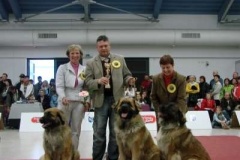 028_nvp_ostrava-4