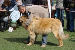 028_nvp_ostrava-5