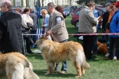 028_nvp_ostrava-6