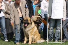 028_nvp_ostrava-8