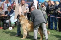 028_nvp_ostrava-9