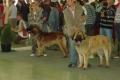 031_mvp_nitra-6