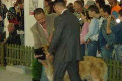 031_mvp_nitra-7