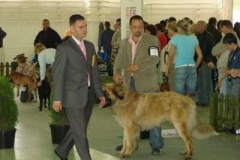 031_mvp_nitra-8