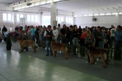 031_mvp_nitra-9