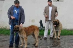 034_kvp_ostrava-4
