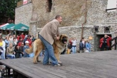 034_kvp_ostrava-5