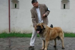 034_kvp_ostrava-6