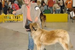 035_mvp_bratislava-1